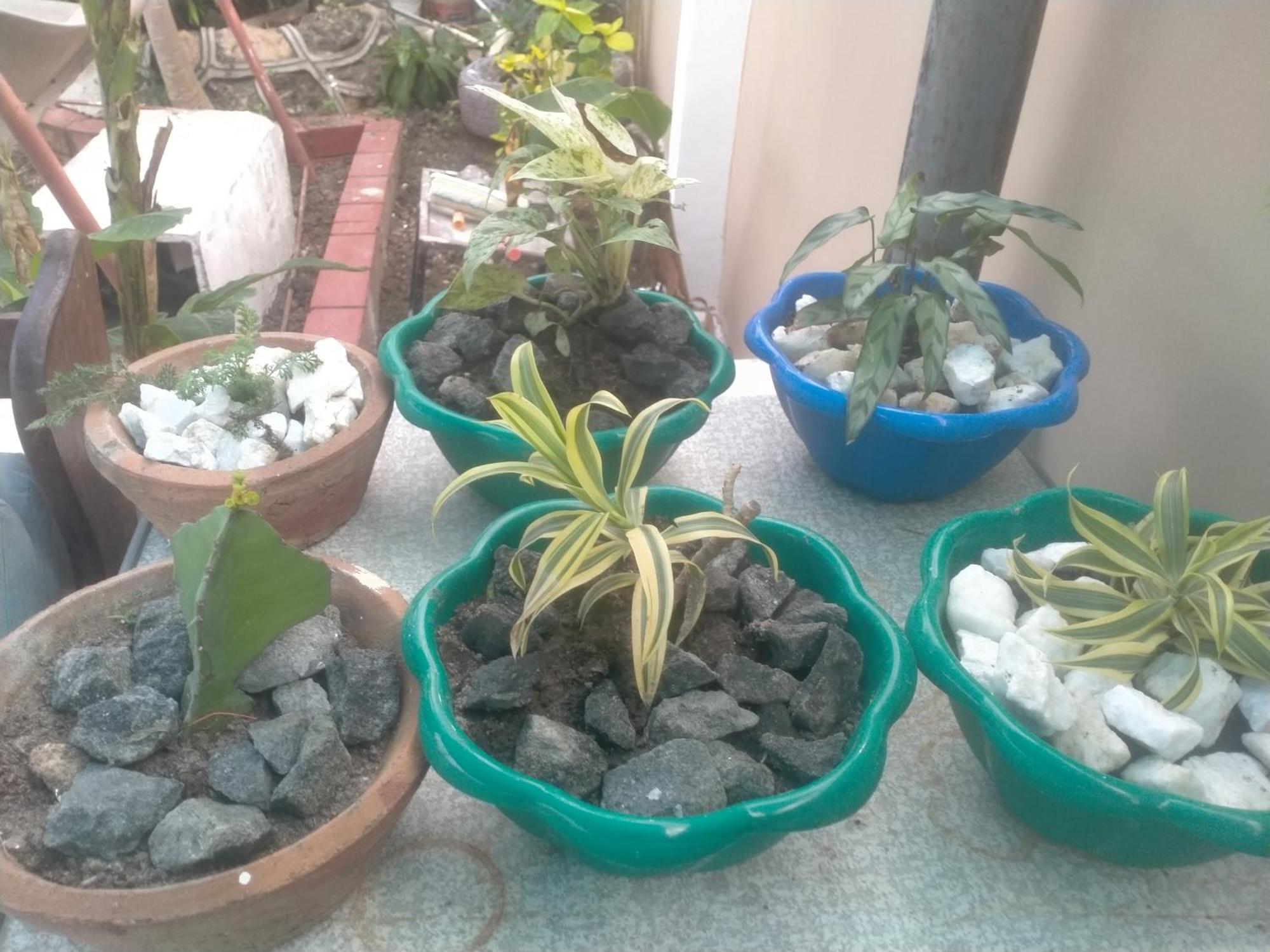 Babajay Family Home دار السلام المظهر الخارجي الصورة